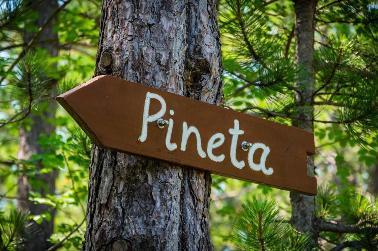 Pineta *