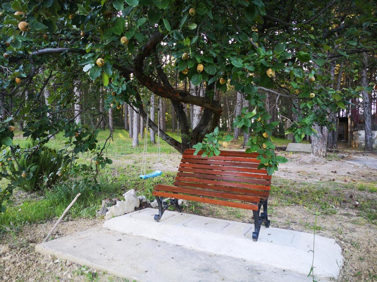 Pineta Holiday home *
