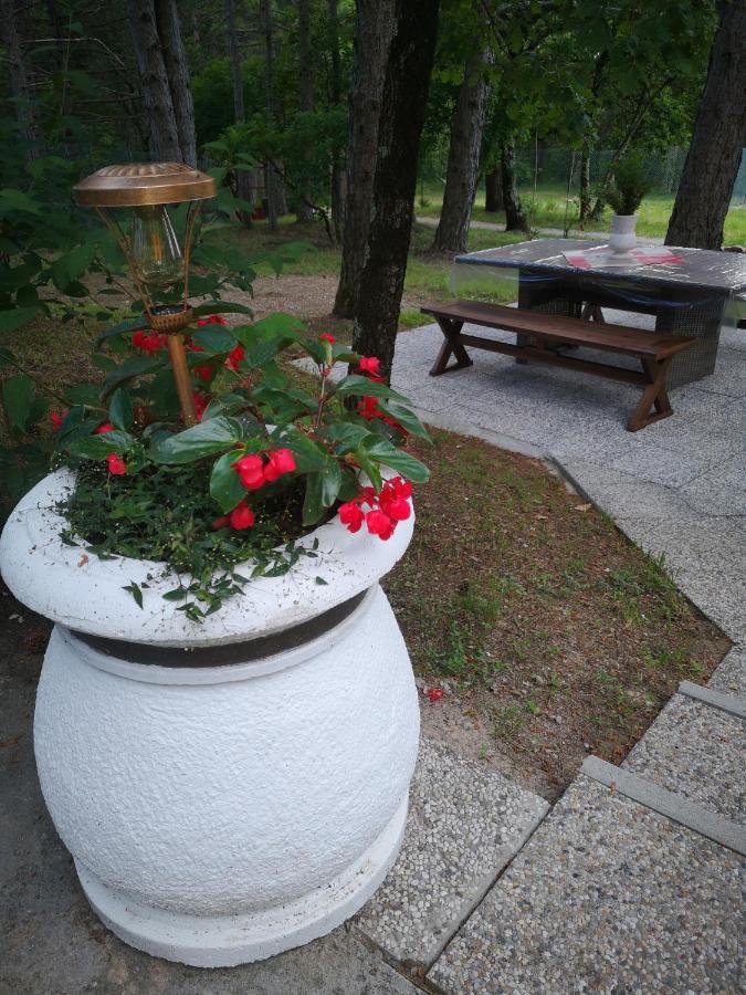 Pineta